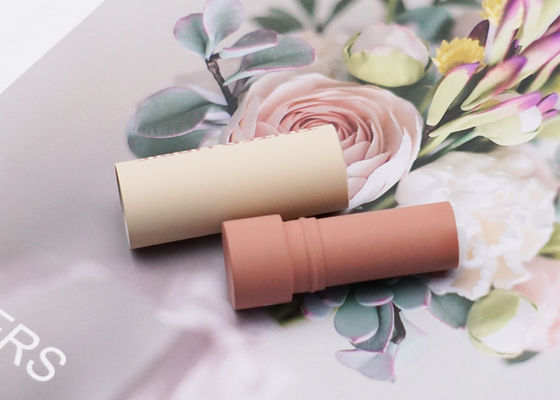 비어 있는 립스틱 용기를 페인트를 칠하는 알루미늄 비어 있는 립스틱 튜브 스프레이